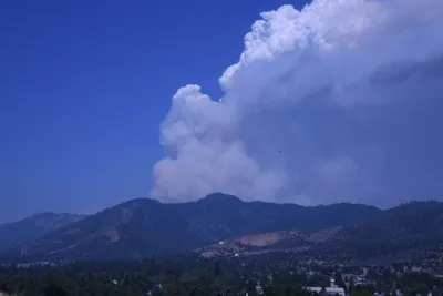 DSC_1854 (Large).JPG